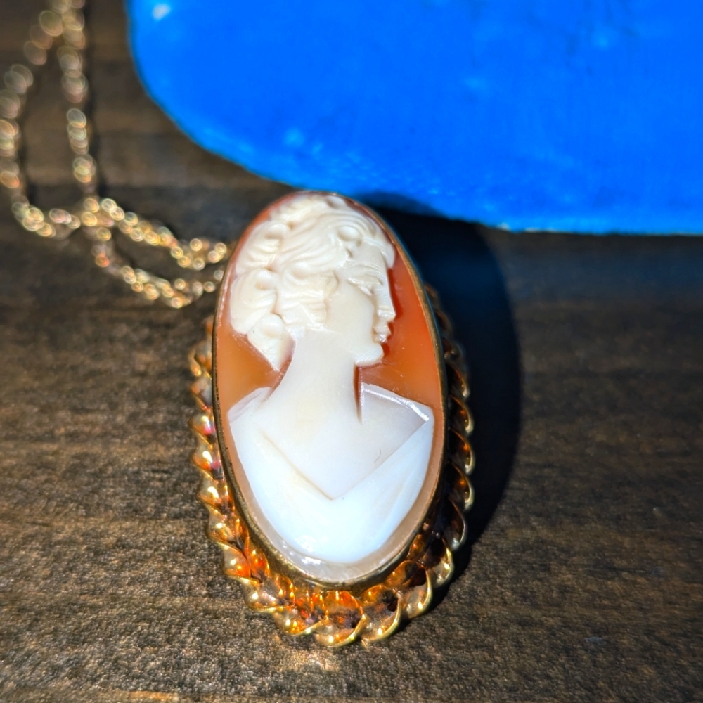Stunning Cameo on a gold chain.